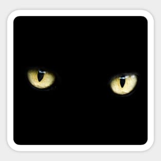 Cat Eyes Sticker